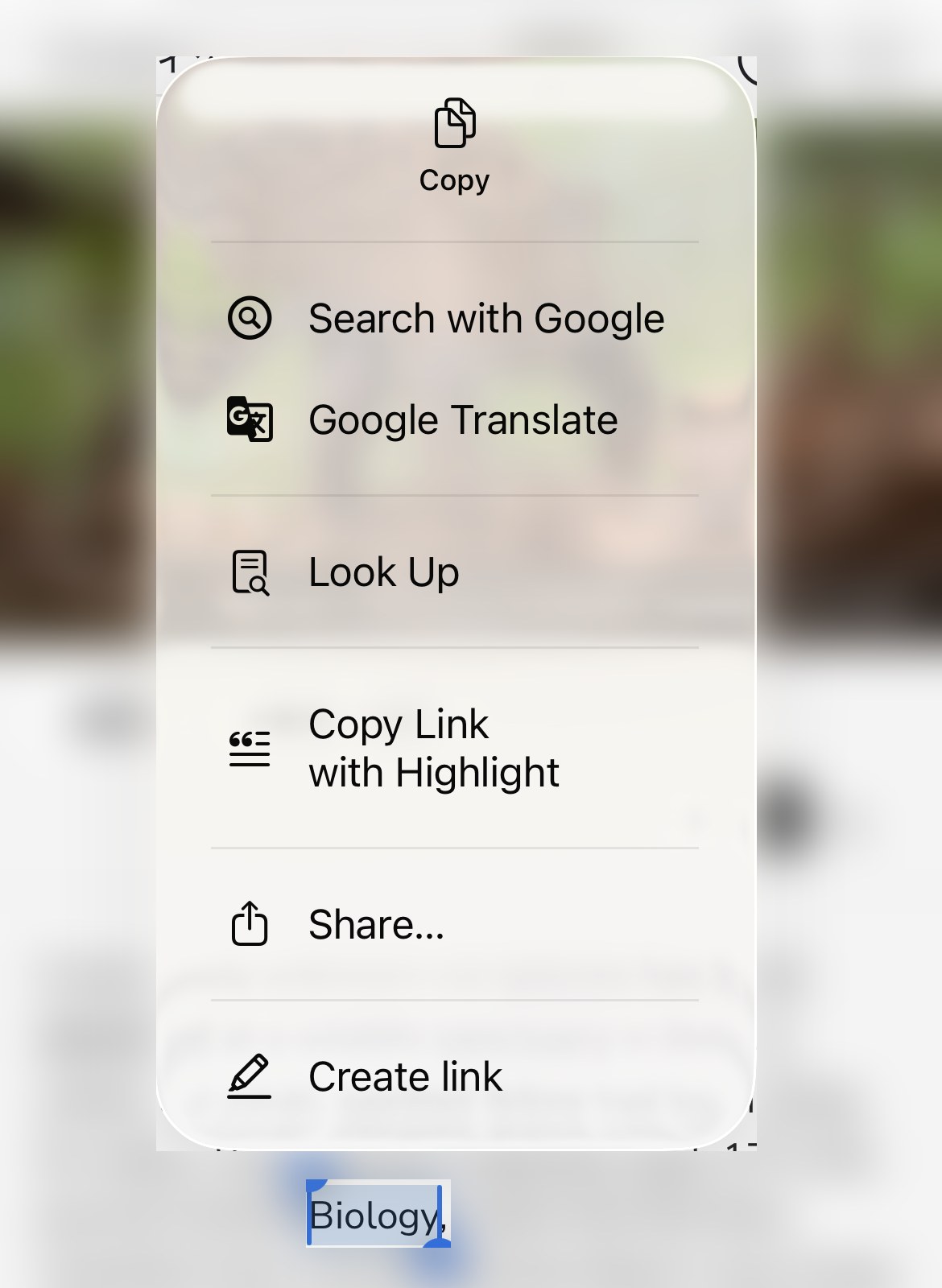 iPhoneで英単語を長押ししたときのメニュー。Look Up（調べる）が並んでいる（背景の記事はぼかしている）